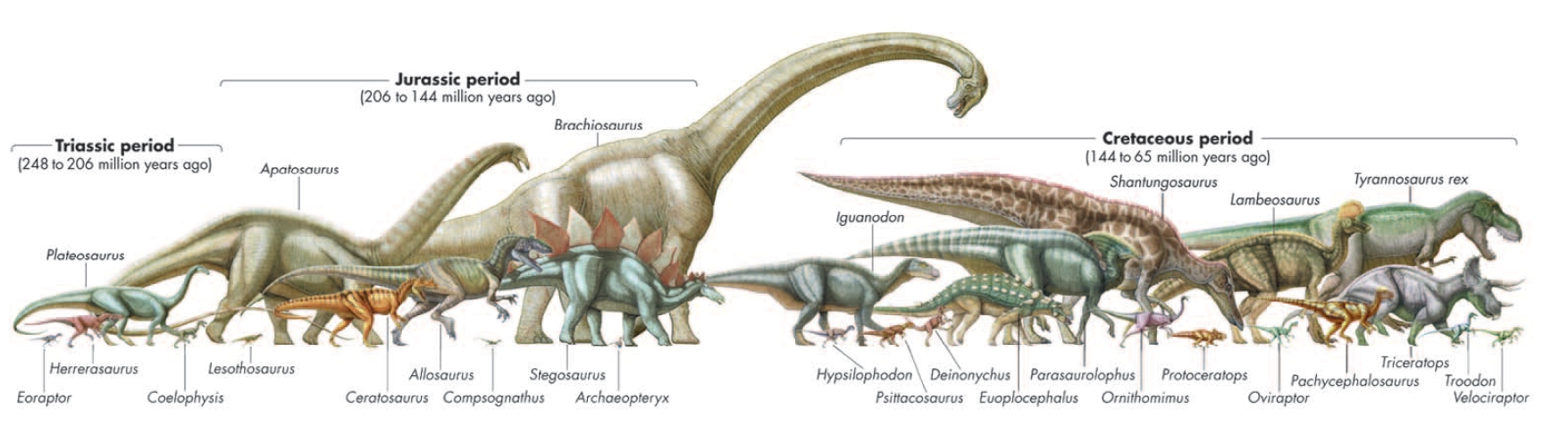 Image result for dinosaur timeline